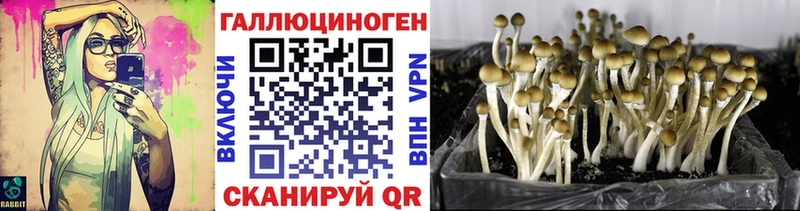 Псилоцибиновые грибы Psilocybe ОМГ ОМГ tor Ипатово